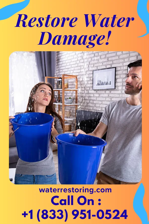 water restoration National Water Damage Brothers South Salem