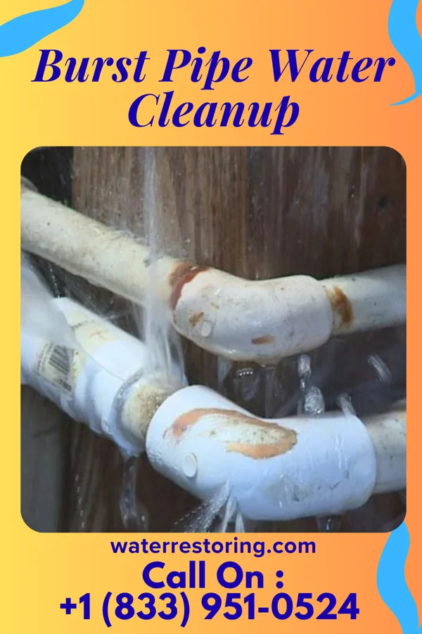 Burst Pipe Water Cleanup in South Salem, OH