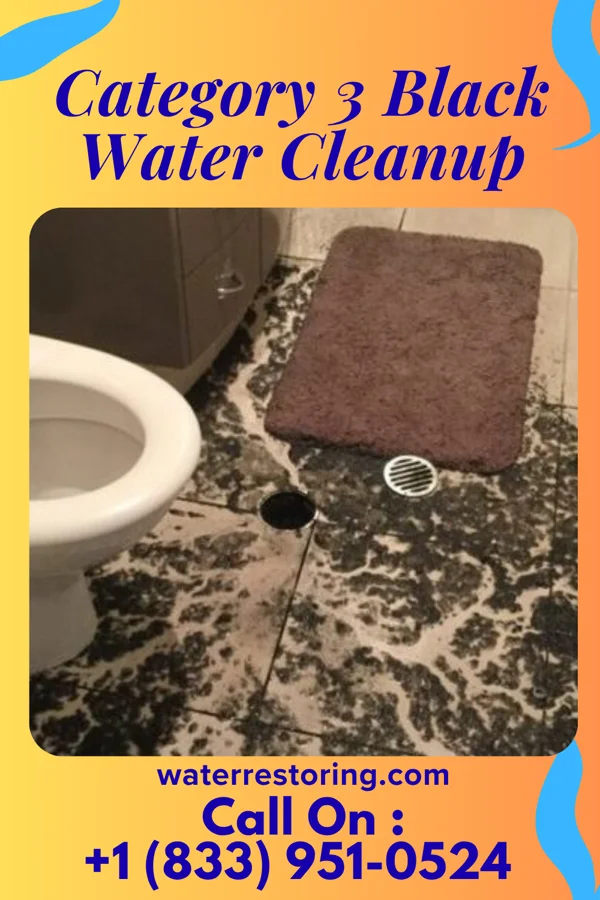 Category 3 Black Water Cleanup in South Salem, OH