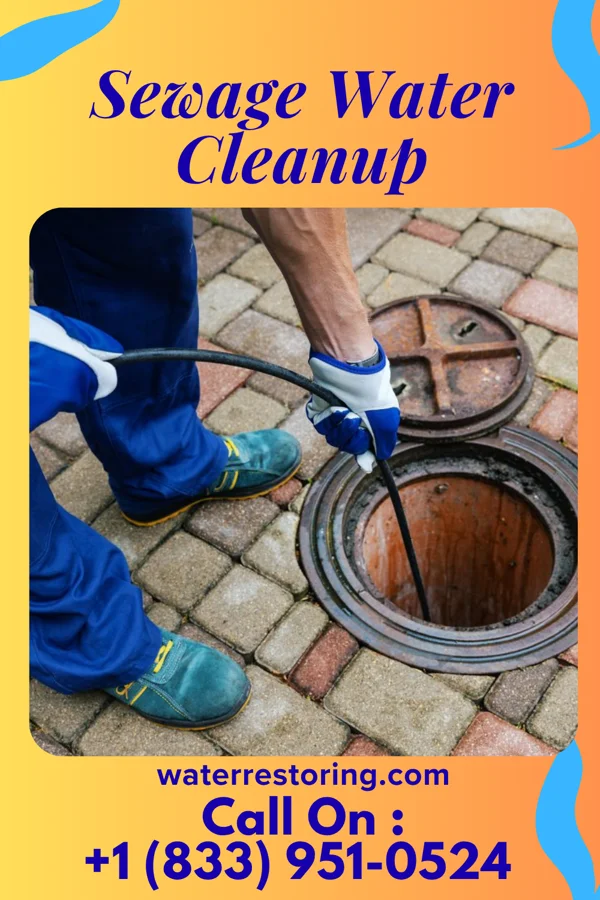 Sewage Water Cleanup in South Salem, OH