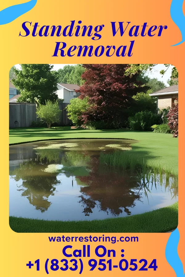 Standing Water Removal in South Salem, OH